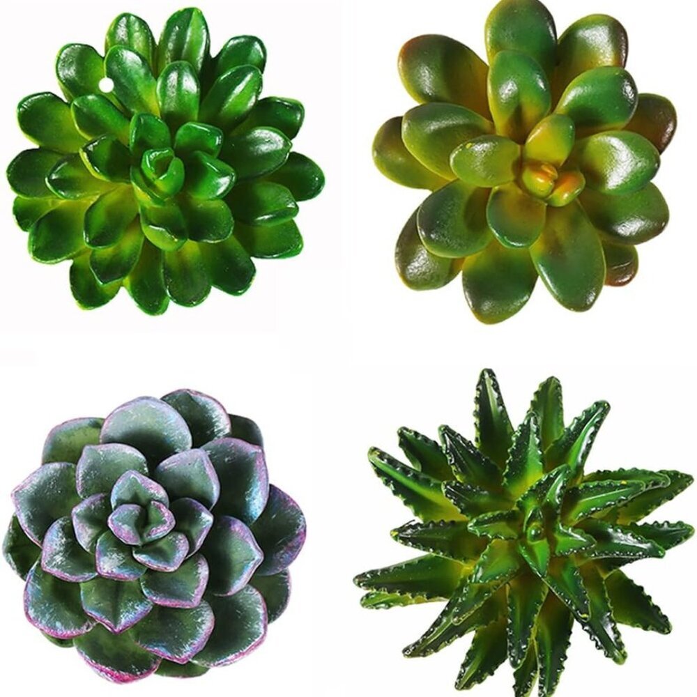 Funny 3D Resin Succulent Fridge Refrigerator Magnets, Set of 4
